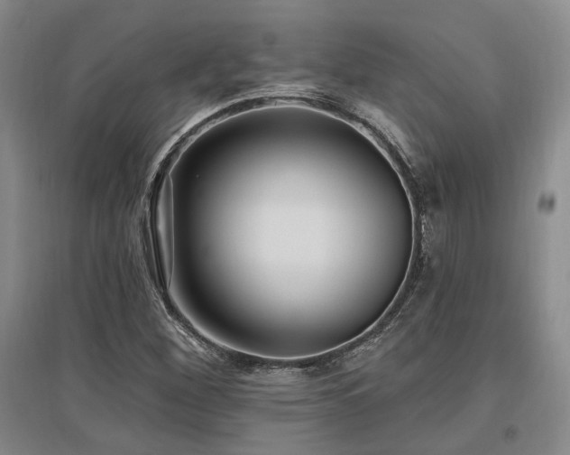 X0000097491260200802221407