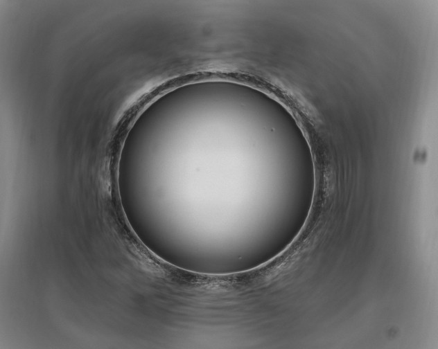X0000097491262200802221407