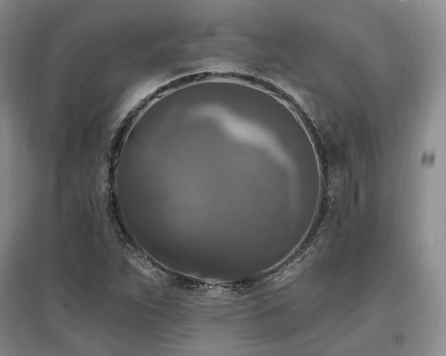X0000097491263200802221407