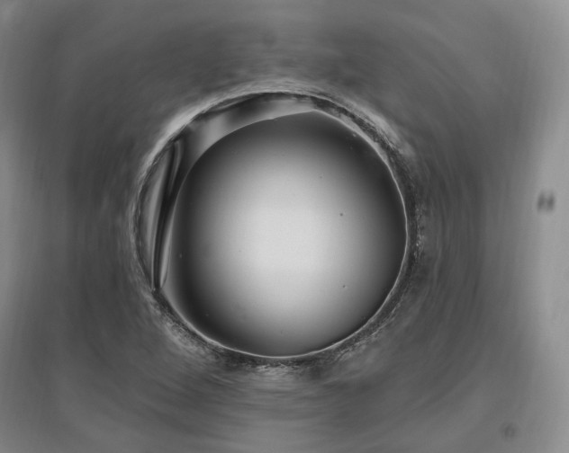 X0000097491264200802221407
