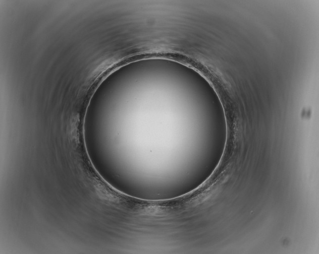 X0000097491265200802221407