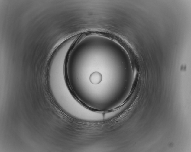 X0000097491266200802221407