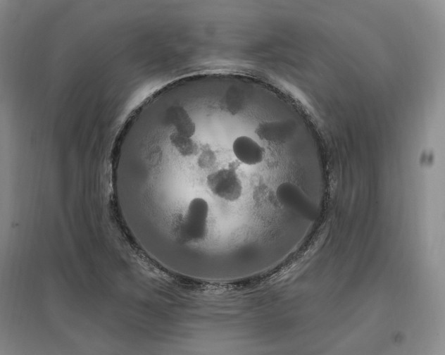 X0000097491267200802221407