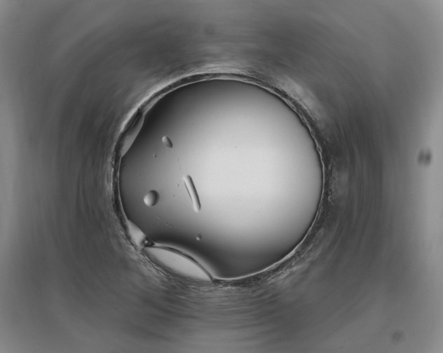 X0000097491268200802221407