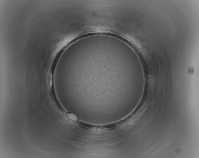 X0000097491269200802221407
