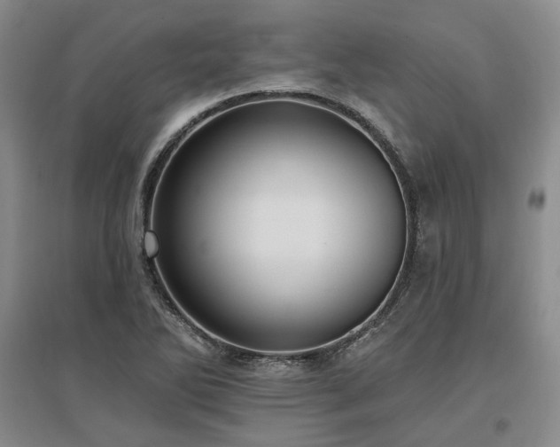 X0000097491270200802221407