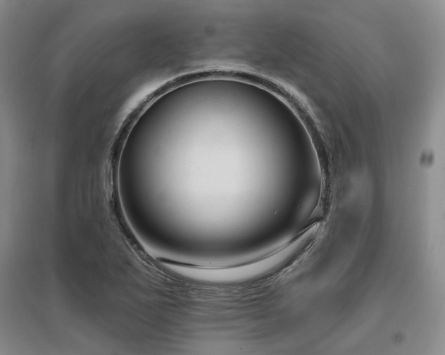 X0000097491271200802221407