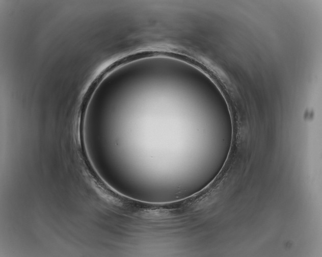 X0000097491272200802221407