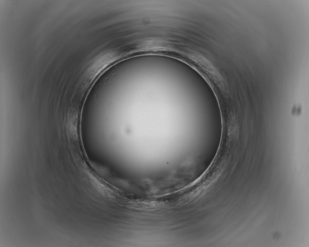 X0000097491273200802221407