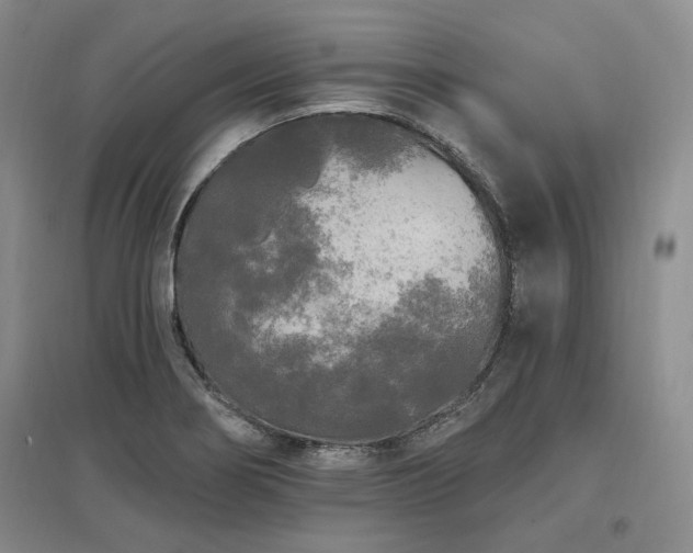 X0000097491274200802221407