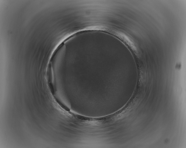 X0000097491276200802221407