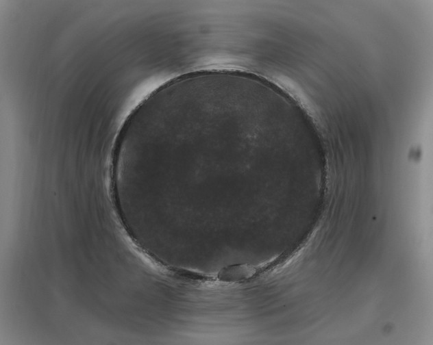 X0000097491277200802221407