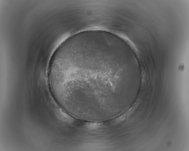 X0000097491278200802221407