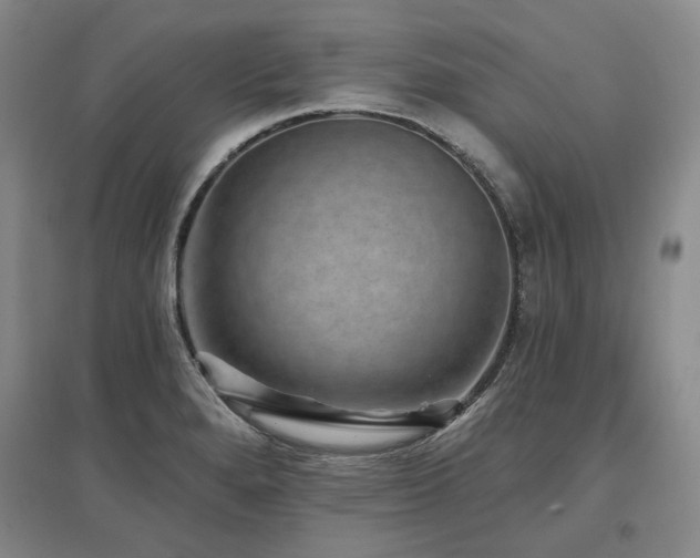 X0000097491280200802221407