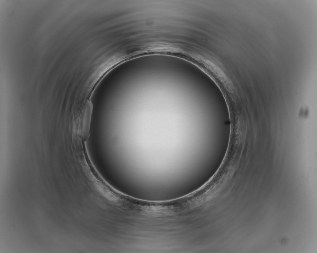 X0000097491281200802221407