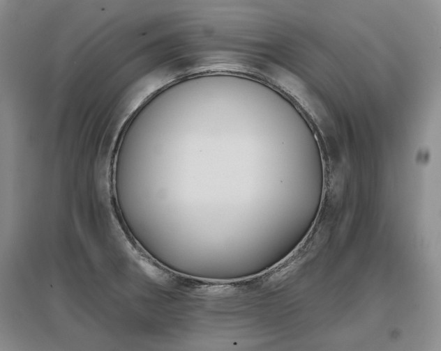 X0000097491282200802221407