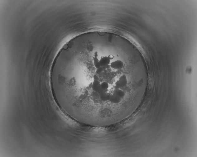 X0000097491283200802221407