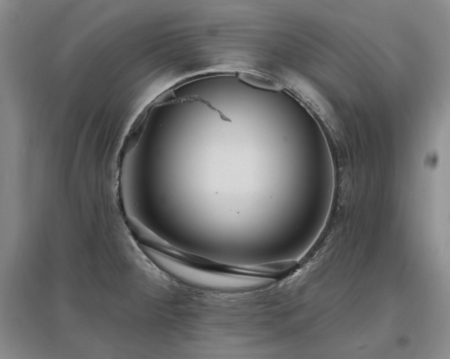 X0000097491284200802221407