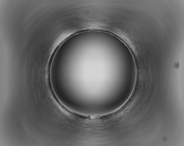 X0000097491285200802221407