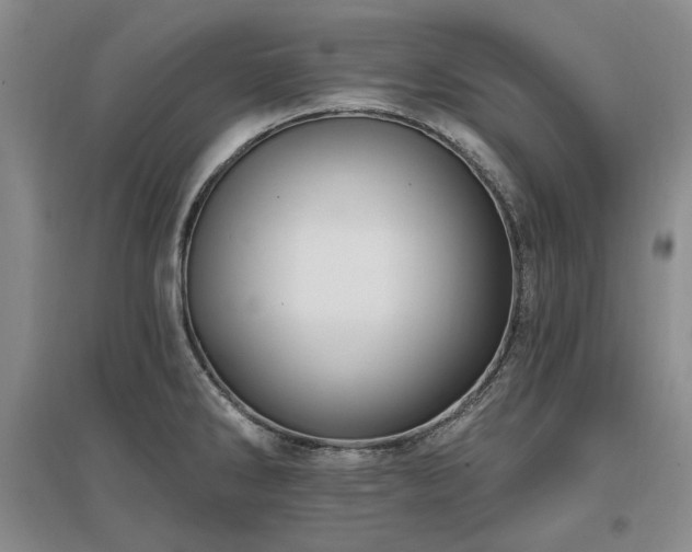 X0000097491286200802221407