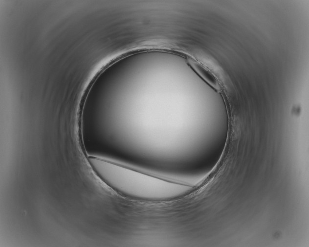 X0000097491288200802221407