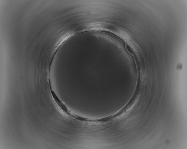 X0000097491289200802221407