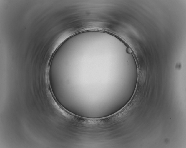 X0000097491290200802221407