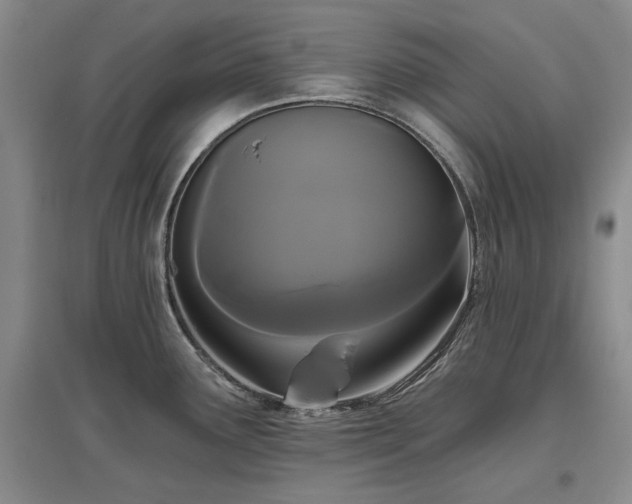 X0000097491291200802221407