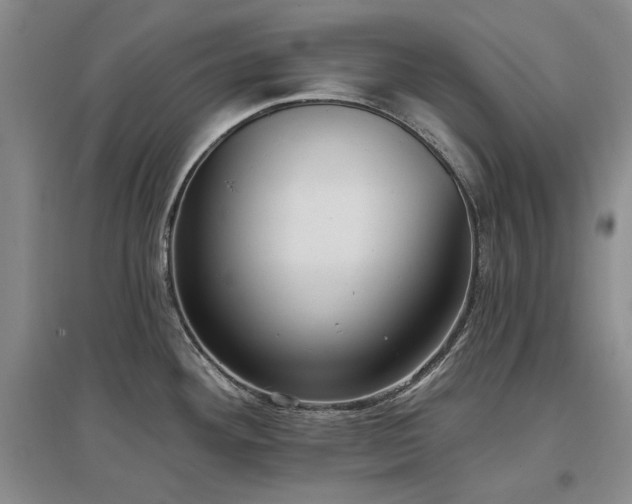 X0000097491292200802221407