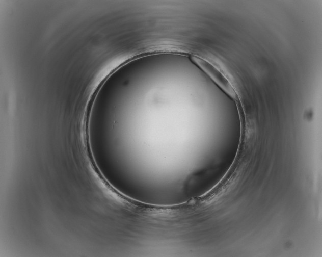 X0000097491293200802221407