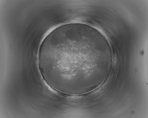 X0000097491294200802221407