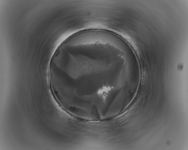 X0000097491295200802221407