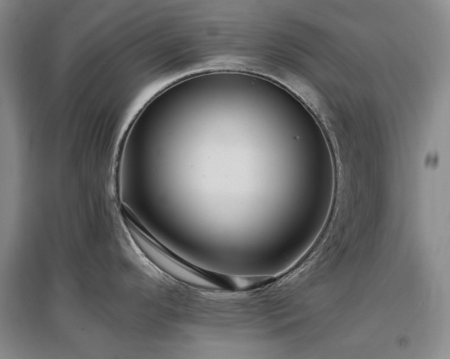 X0000097491296200802221407