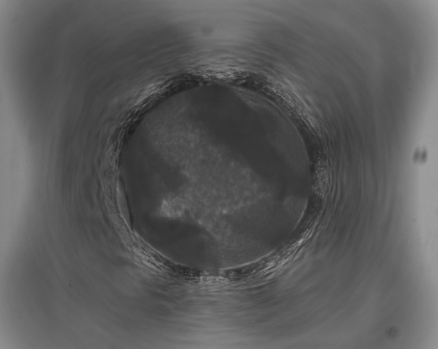 X0000097491297200802221406