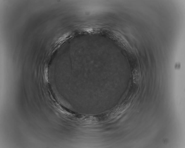 X0000097491298200802221406