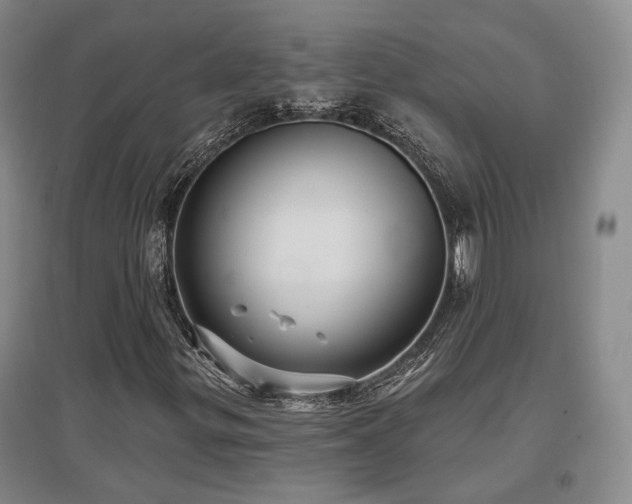 X0000097491299200802221406