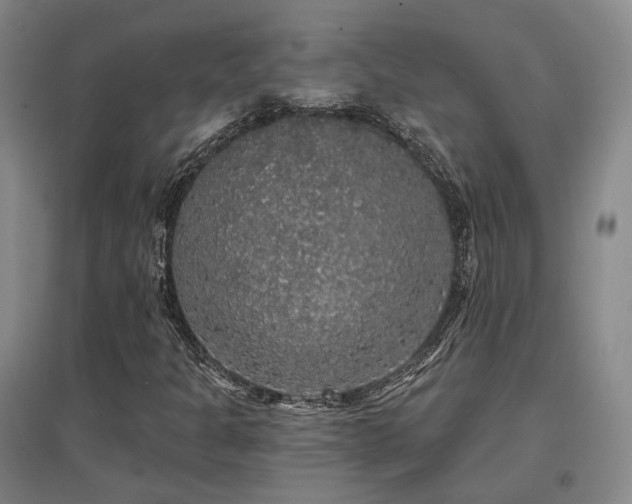 X0000097491301200802221406