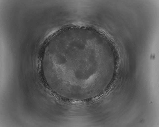 X0000097491302200802221406