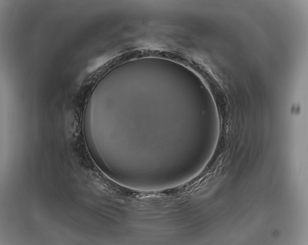 X0000097491303200802221406