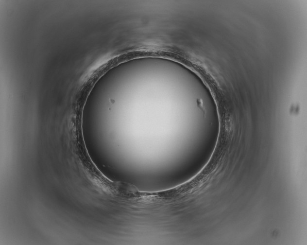 X0000097491304200802221406