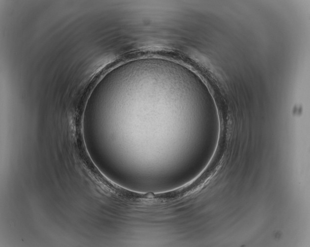 X0000097491305200802221406