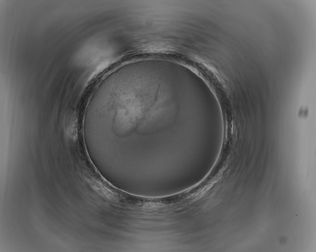 X0000097491306200802221406