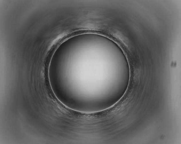 X0000097491307200802221406
