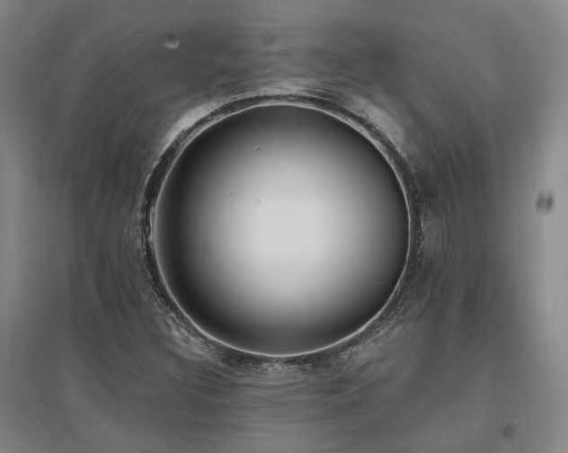 X0000097491308200802221406