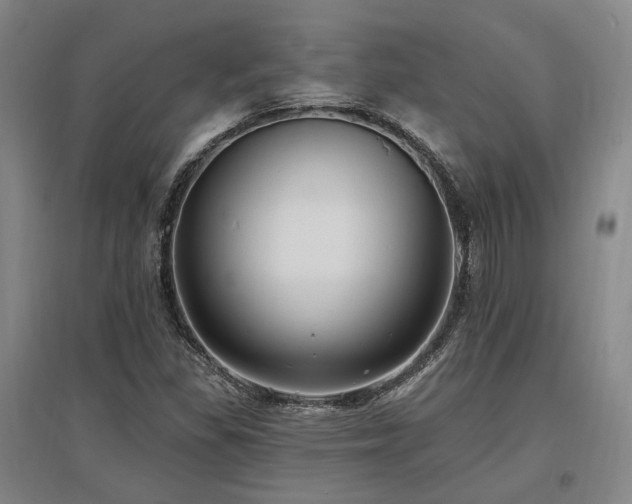 X0000097491309200802221406