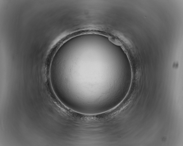 X0000097491310200802221406