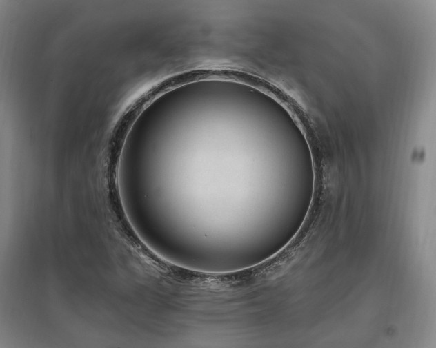X0000097491311200802221406