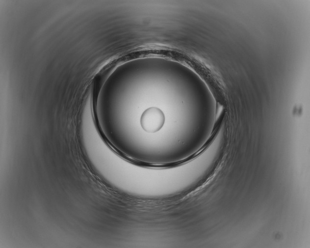 X0000097491313200802221406