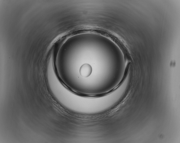 X0000097491314200802221406