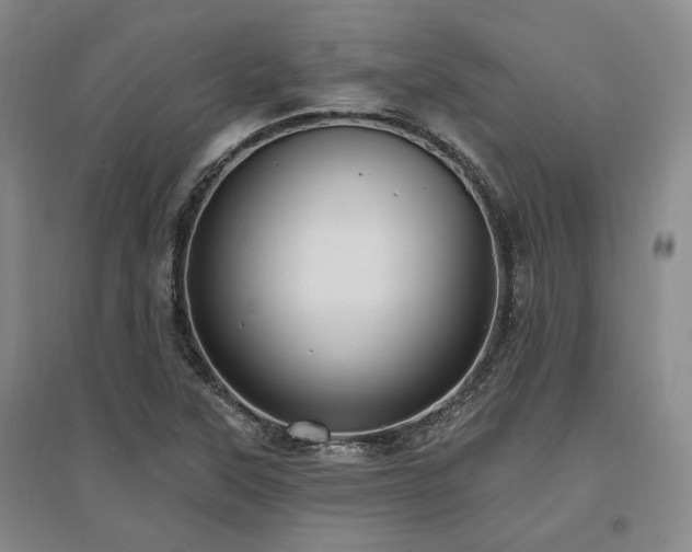 X0000097491315200802221406